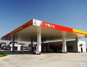 月薪5000能養得起大眾帕薩特嗎 這筆賬我幫你算好了